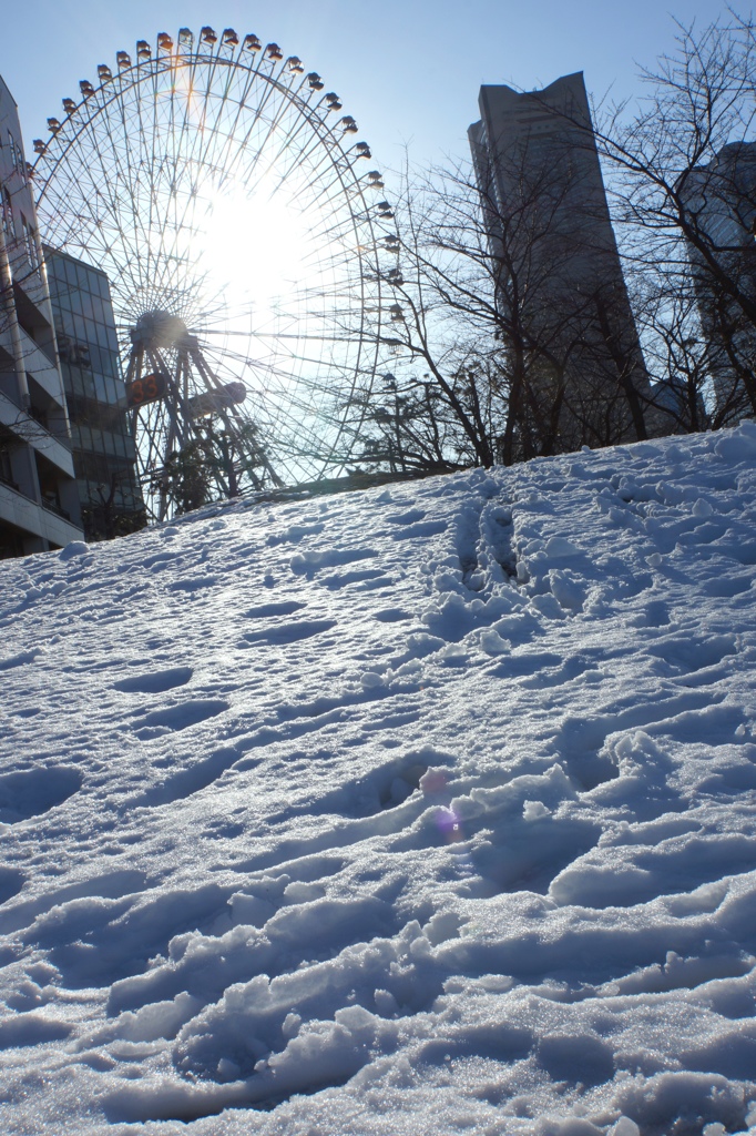 雪と観覧車
