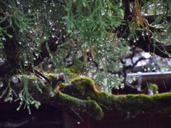 雷雨が去って