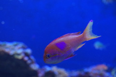 ハッピーのおすそわけ♡