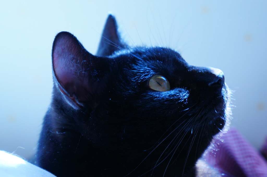 DSC01720