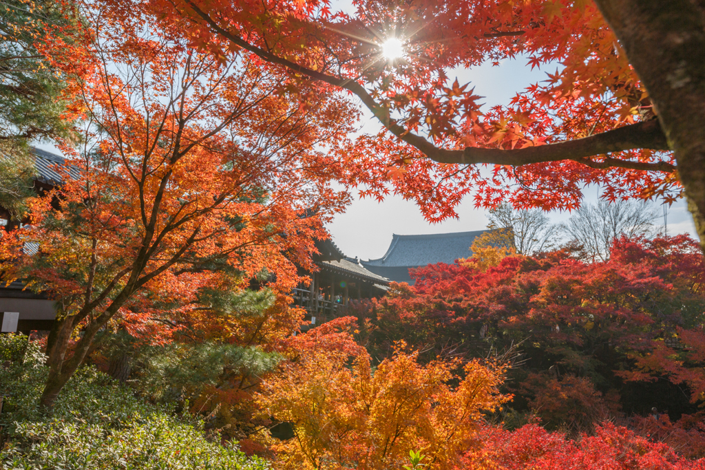 そうだ京都行こう^^