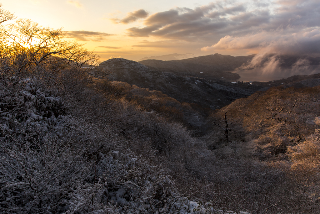 樹氷の大観山