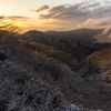 樹氷の大観山