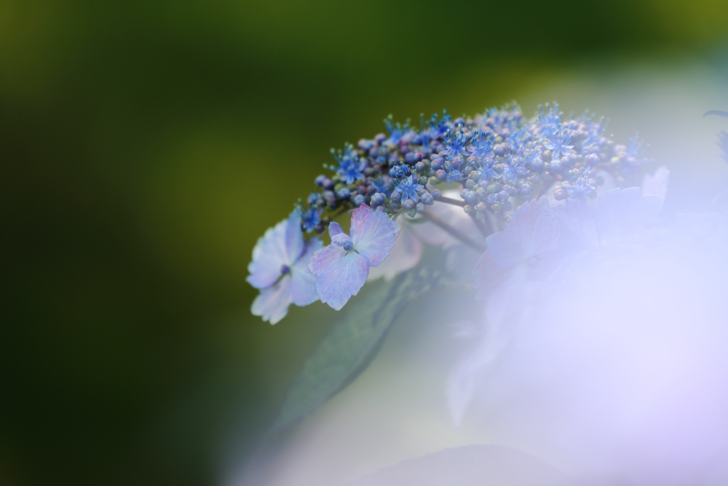 雨の季節に戻ってきます⑤