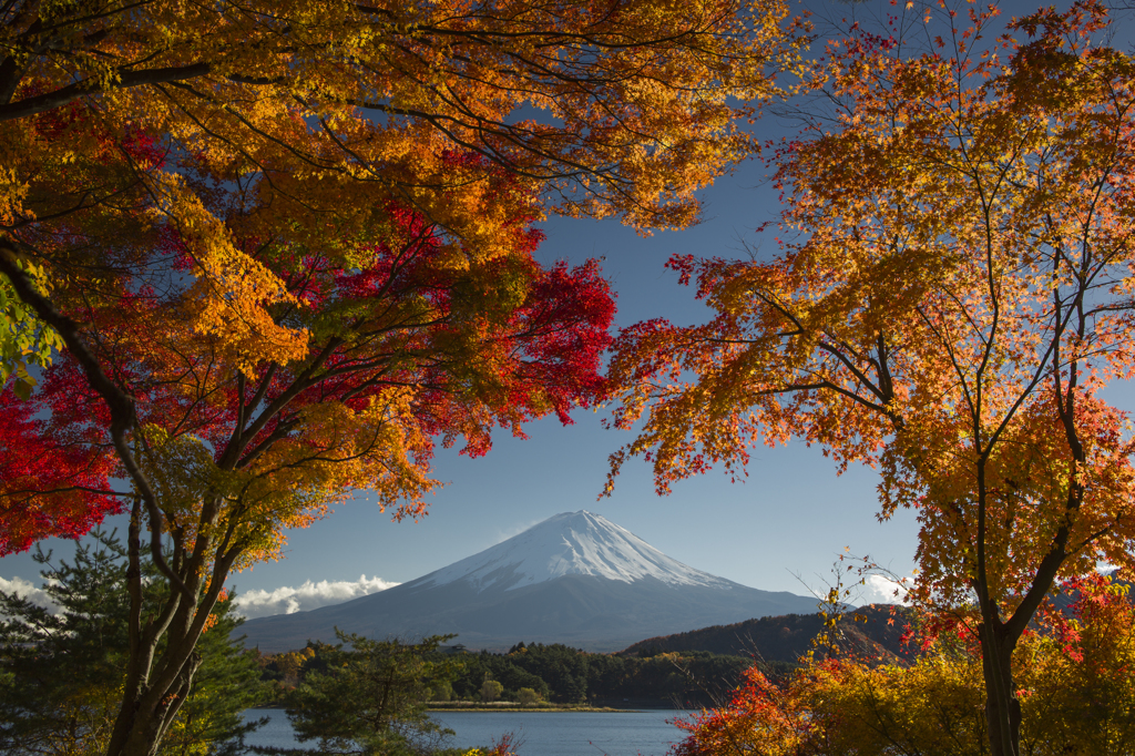富士三昧182 日本の秋3
