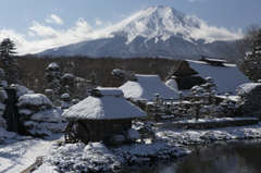 忍野の冬　富士三昧249