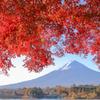 富士紅葉三昧⑥