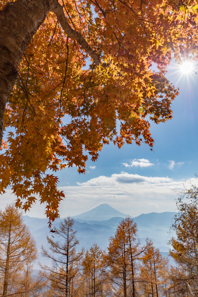 富士紅葉三昧①