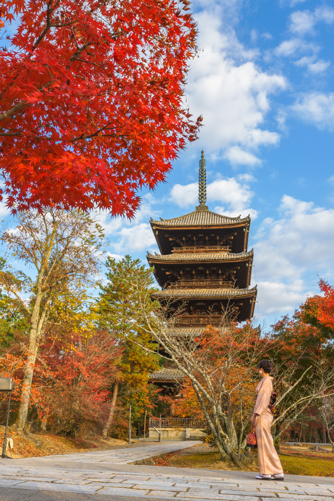 京都紅葉2019－①