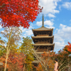京都紅葉2019－①