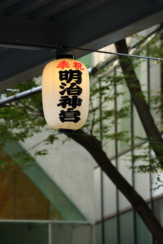 秋の表参道ヒルズと街並み　　ギャラリー用