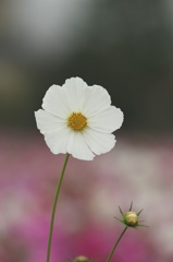 ギャラリー16