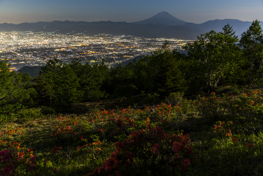 富士三昧341　甲府盆地の夜景とツツジ
