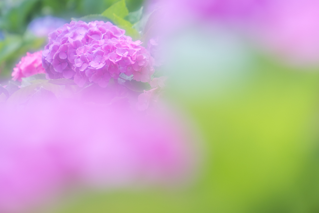 雨の季節に戻ってきます55