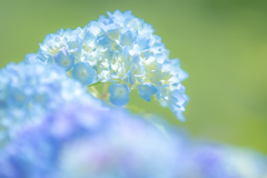 雨の季節に戻ってきます㊿