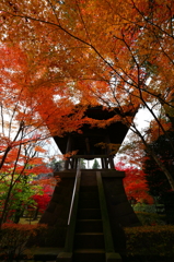 錦秋の平林寺２