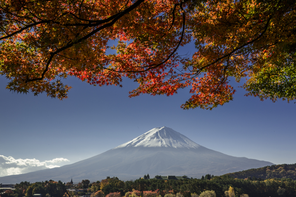 富士三昧185-2 日本の秋6