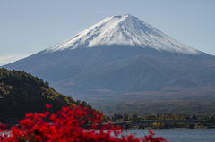 富士三昧185-1 日本の秋6