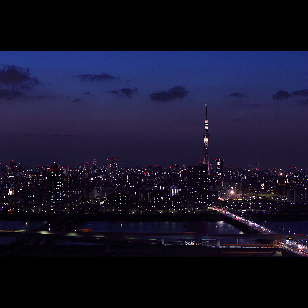 蔵から救出した夜景シリーズ9　タワーホール船堀編