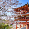 そうだ京都行こう2019-③