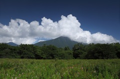 戦場ヶ原から男体山を望む