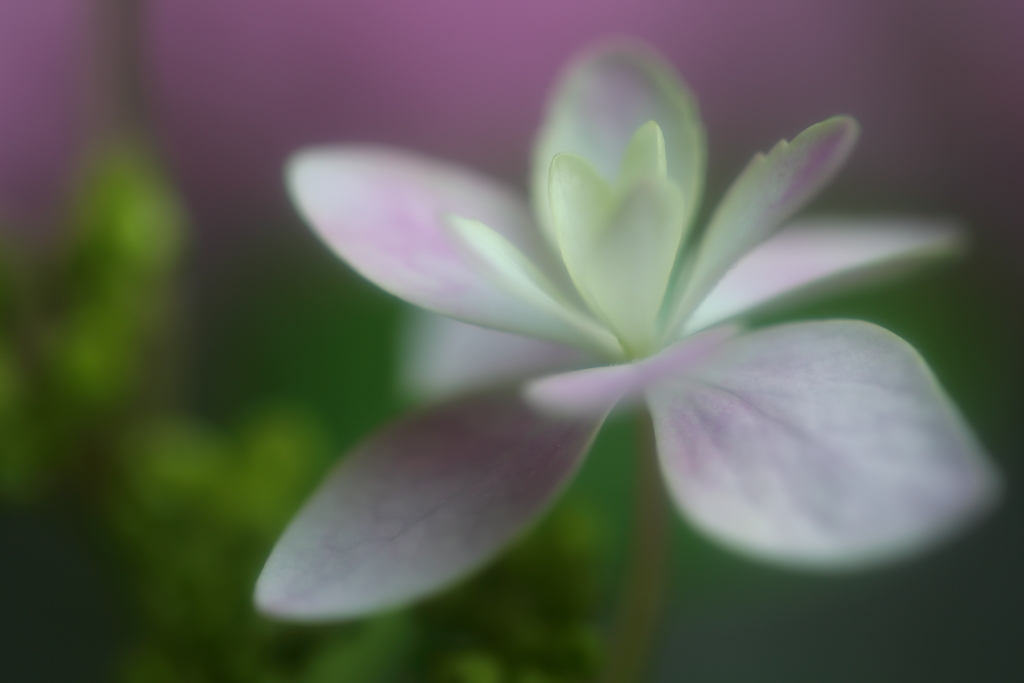 雨の季節に戻ってきます⑥