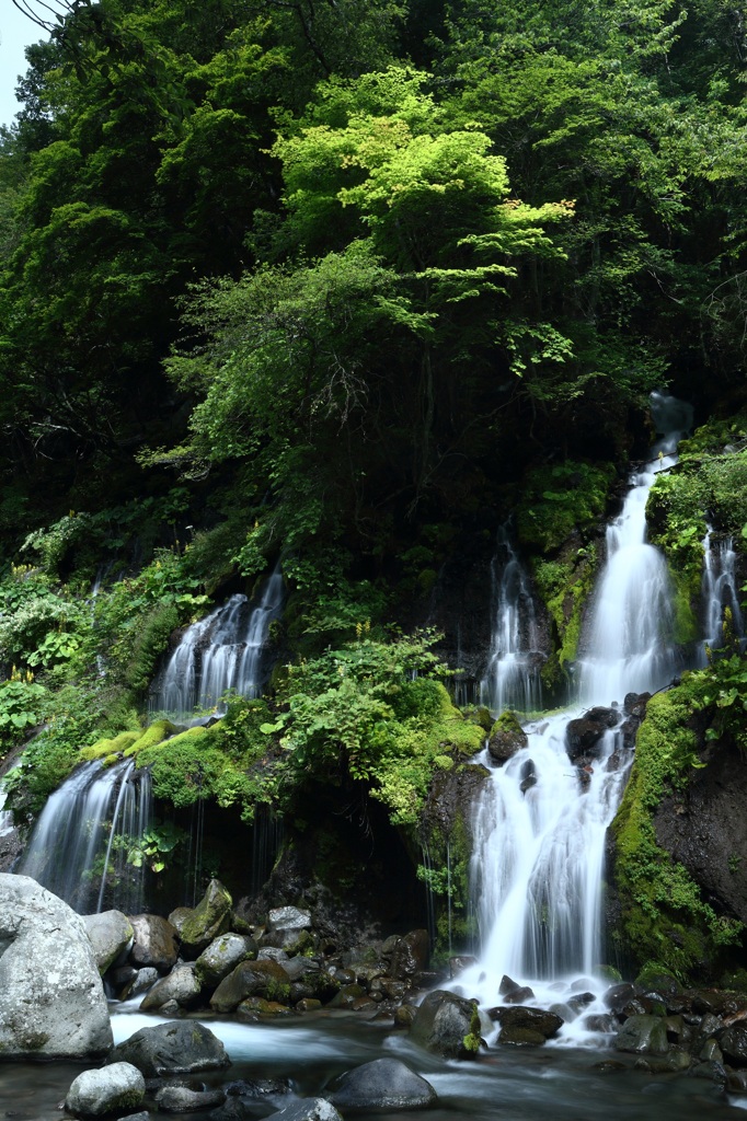 川俣川渓谷 吐竜の滝Ⅵ