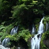 川俣川渓谷 吐竜の滝Ⅵ