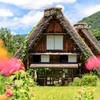 初めての白川郷