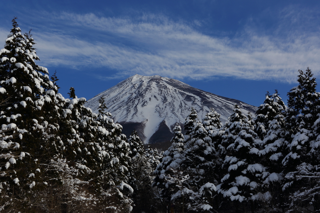富士三昧81　再び西臼塚からの富士山と樹氷