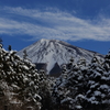 山・山脈