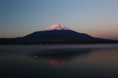 富士三昧　撮って出し2