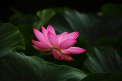 私を見つけて