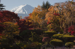 富士三昧183 日本の秋4