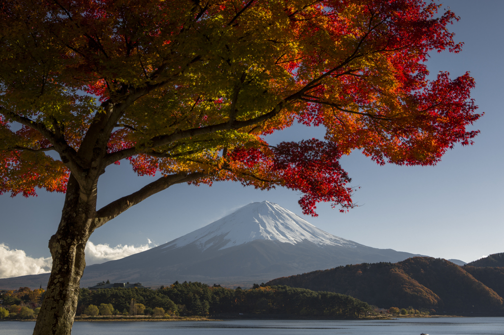 富士三昧181 日本の秋2