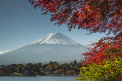 富士三昧188 日本の秋8