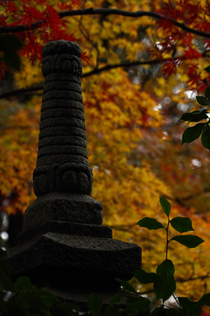 錦秋の平林寺　ギャラリー用