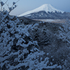 富士三昧431　二十曲の樹氷 ブルーモーメント　弾丸⑩