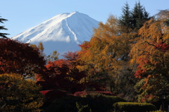 富士三昧　撮って出し8