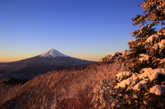 富士三昧210 憧れの三ツ峠山からの富士と樹氷③ サンライズ