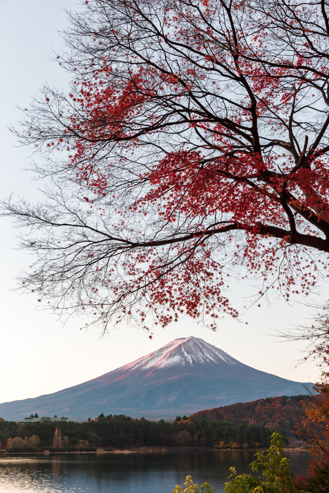 富士紅葉三昧⑨