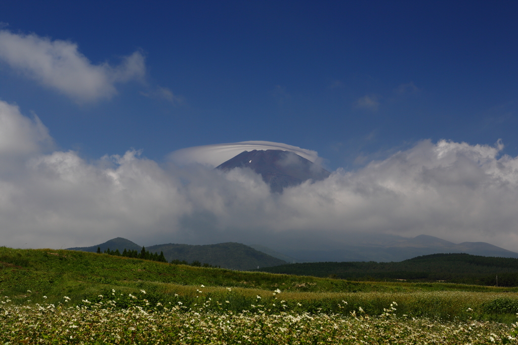 撮りたて撮って出し⑤