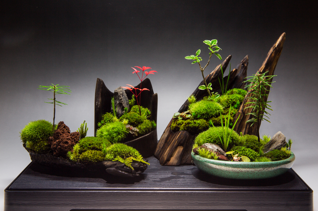 裏ワザ30　癒しの苔盆栽 里山の風景　コラボで！