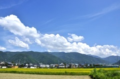 夏を待ちわびて