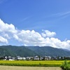 夏を待ちわびて