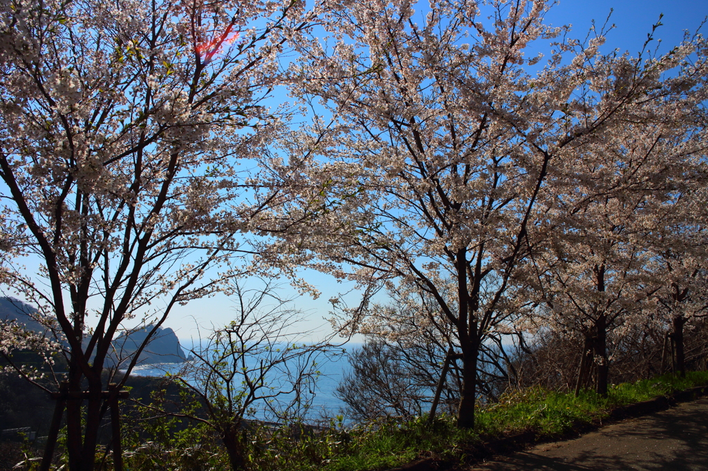 米山と海