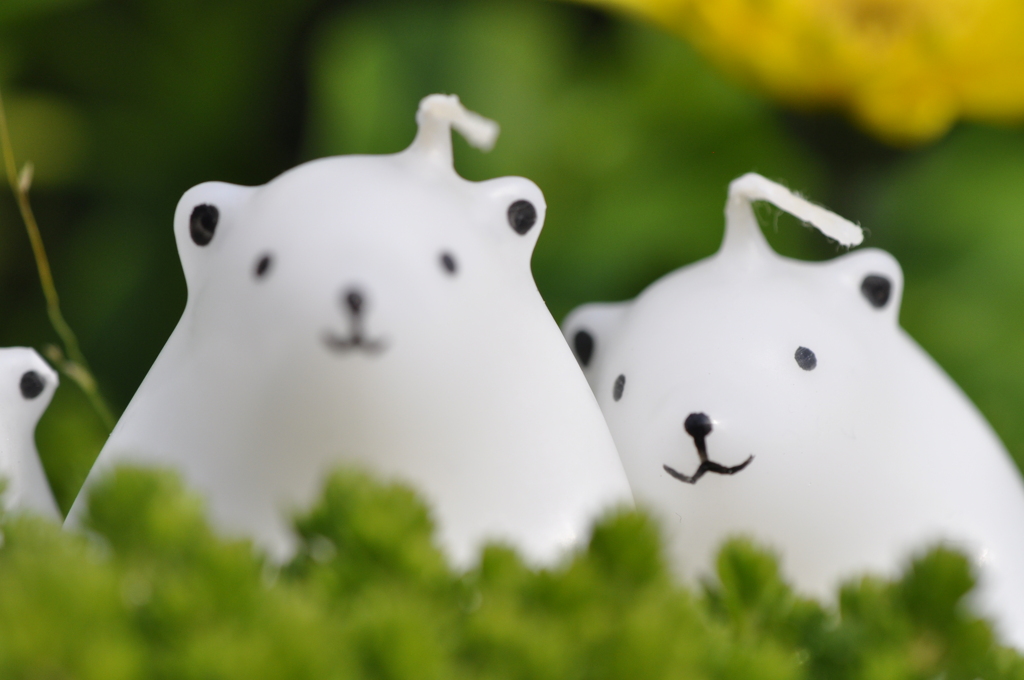 草のにおいがするよ