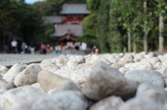 鶴岡八幡宮への道