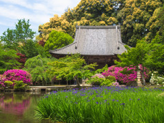 奈良　長岳寺