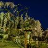 氷室神社　枝垂れ桜